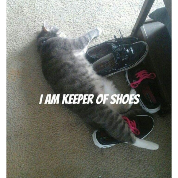 Meet me! - Picture 3 of 5